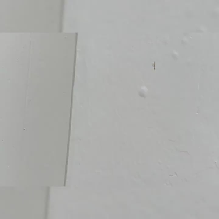 视频-2.mp4
